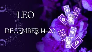 Leo ♌️ 🦁 