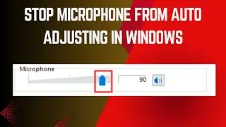 How To Stop Microphone From Auto Adjusting In Windows 11/10