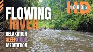 Relaxing Flowing River Sounds - 10 Hour Water Stream for Meditation - River Soundscape