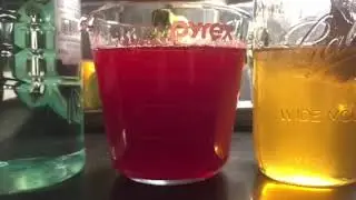 Highbush Cranberry Cocktail How-To