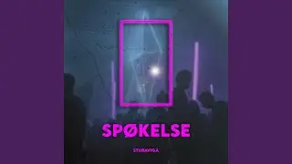 Sp&oslash;kelse