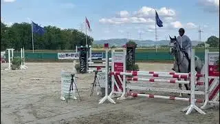 Schwanheim 2025 1,15 m  Henry Z
