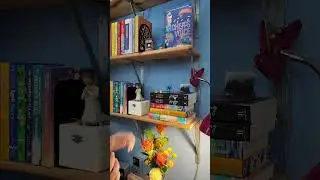 Сколько книг у вас есть?