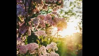 Relaxation  for Your Pelvic Floor Meditation by Danielle Gensler