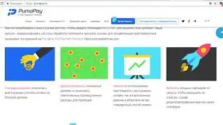 Обзор pumapay
