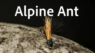 Jak zawiązać muchę Alpine Ant | Samouczek wiązania much