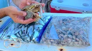 NEVER BUY BAIT AGAIN!! CATCH YOUR OWN PILCHARDS SAND FLEAS AND CALICO CRABS