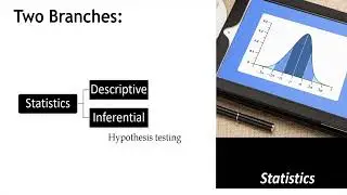 Mastering Statistics:From Descriptive to Inferential | covariance | correlation | Std dev | Variance