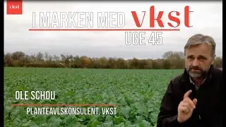 I Marken med VKST | Uge 45