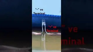 Parallel circuit and Series Circuit made using Copper tape and 3V LED on Perspex board