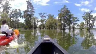Lake Martin with Old Town Next canoe 7-15-17