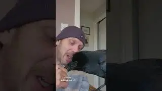 Общение через клюв Рагнара.