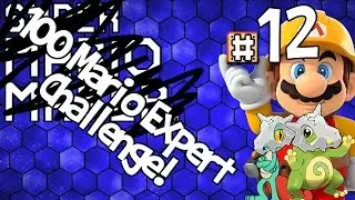 Super Mario Maker: GG - Part 12 - TheGamerTrials