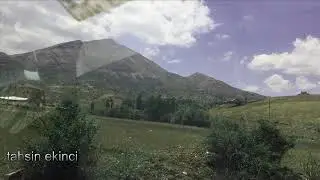 Qisirax - Raz&icirc;lo Dilo