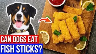 Can Dogs Eat Fish Sticks? - Are Fish Sticks Dangerous for Dogs?