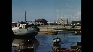 Bridport 1955