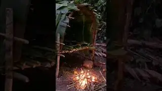 SURVIVAL 2 days in the forest, eat banana tree trunks to survive