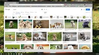 Google Images: Creative Commons Image Search