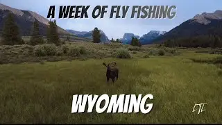 A Week of Fly Fishing in Wyoming