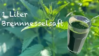 Saftfasten mit 1 Liter Brennnesselsaft