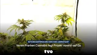 Buttenheimer Cannabis-Club legt Projekt vorerst auf Eis