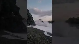 Don't feel like swimming today