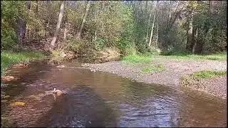 руSSкий это диагноZ. человек го Н дон. Хутин Пуй
