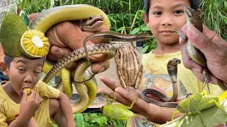Releasing the hunted catch back into the wild