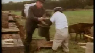 Animal Magic: Johnny Morris and the lazy chimp!
