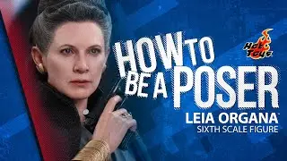 Leia Organa Sixth Scale Figure by Hot Toys | How to be a Poser