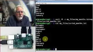 Raspberry Pi Linux LESSON 9: Using the Linux Sort Command