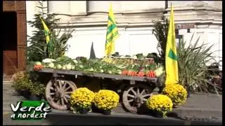 Festa del ringraziamento a Badia Polesine 2014