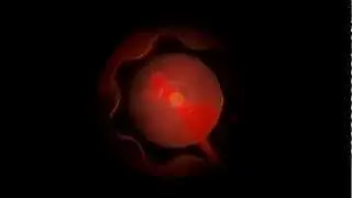 ANTI-EFFECT guitar pedal Commercial / Chaosound