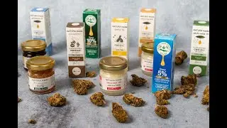 CAN CBD OIL HELP WITH PANIC ATTACKS AND DIABETES? STUDIES WILL SHOW!