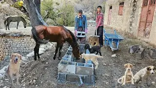 Real nomadic life, primitive survival | Building a water trough for goats and caring for goats