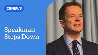Mark Speakman steps down as NSW Liberals leader, endorses Kellie Sloane | ABC NEWS