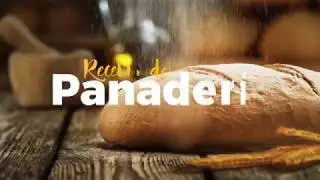 Motion Type -Text Animator - After Affect Template