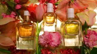 Jour d'Hermès✨Jour d'Hermès Absolu✨Jour d’Hermès Gardenia✨Три версії улюбленого аромату