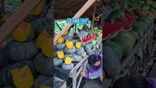 All frwsh here🤩💚 #nature #travel #provincelife #subscribers #shorts #ytviral #fruit #veggies #fun