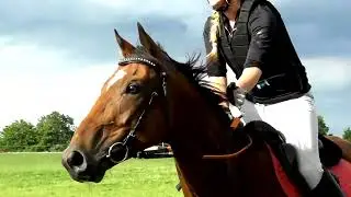 Hold On To Hope ~ Amy Stroup ~ Lion | Rio ~ Ace Cross Country ~ 16/07/24