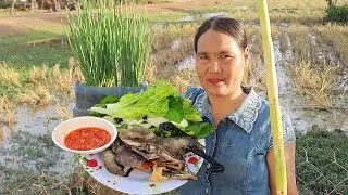 Steamed black chicken recipe with cane, so Yummy | Rural Cooking Life