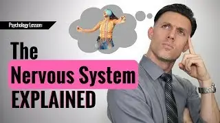 The Nervous System EXPLAINED - Psychology Lesson || Ryan David