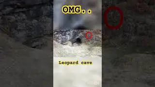 #explore #wildlife #naturelovers #leopard #cave #mountains #omg #experience #chakrata #must