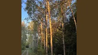 evening yoga