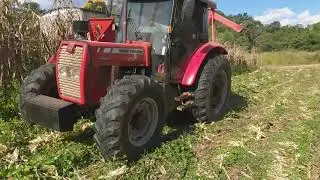 COLHEITA DE MILHO COM 292 TURBO CABINADO