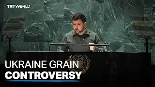 Poland, Slovakia, Hungary impose ban on importing Ukrainan grain