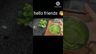 अमरूद की खट्टी मीठी चटनी/ guava sauce #shortvideo #subscribemychannel