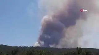 Bolu orman yangını