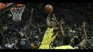 Official Elgin Cook 2016 Highlights