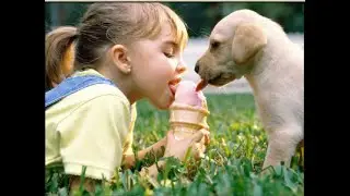 ACIM Study Group, Complete Annotated, 1/14/25, ch 5, section V. The Foundation for Real Sharing